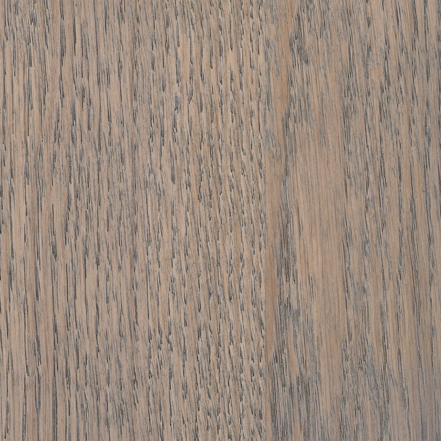 blog image 1