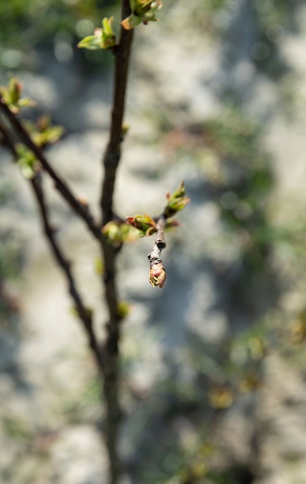 Duurzaamheid Table du Sud | Table du Sud