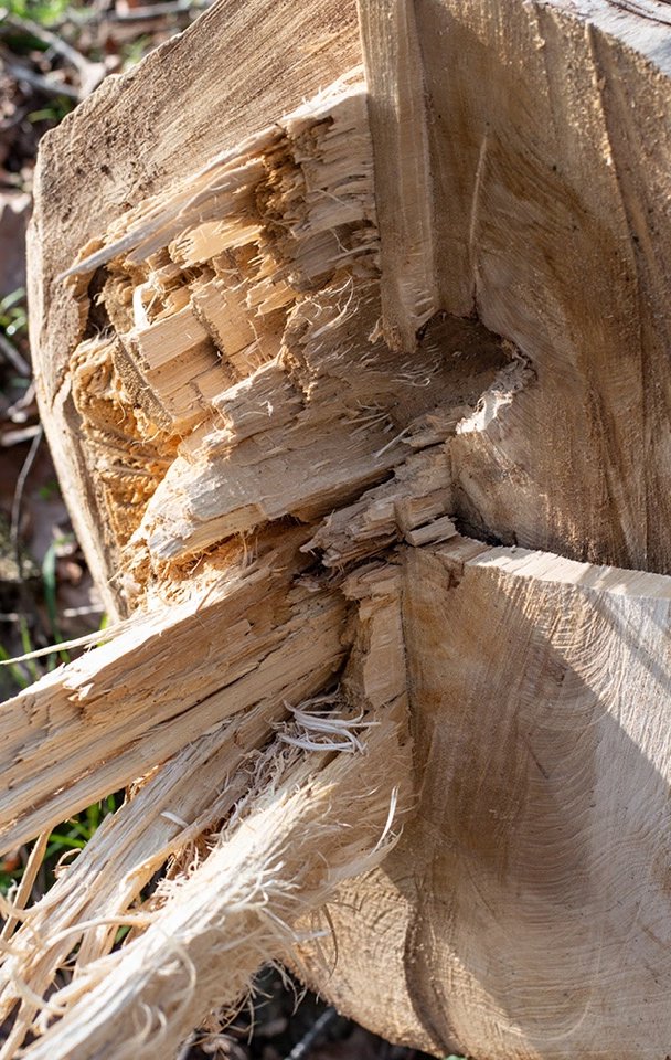 Duurzaamheid Table du Sud | Table du Sud