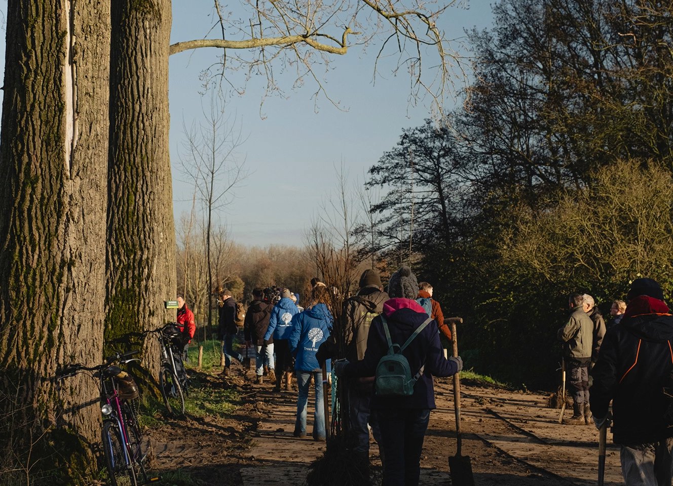 One, two, tree | Table du Sud