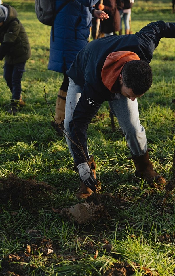 one-two-tree One, two, tree | Table du Sud