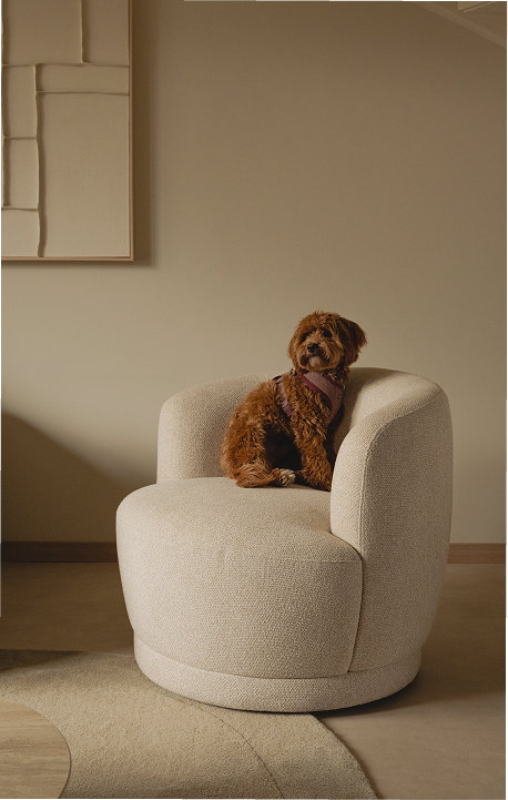 Fauteuil Huggy cadeau bij aankoop van een bank of eetkamerset