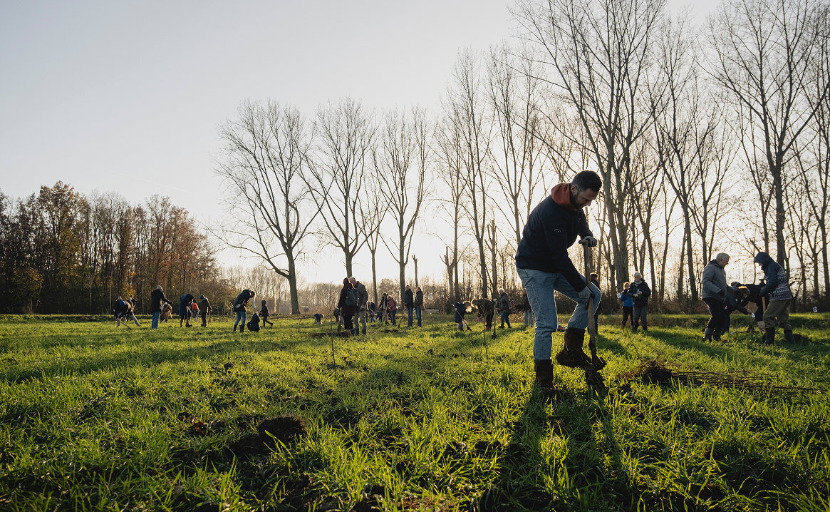 Drieluik groot trees duurzaamheid