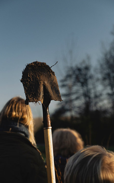 Drieluik klein trees duurzaamheid
