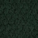 CL5 - TOTFO - Otello Forest