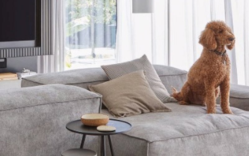 Blog-header-instagram