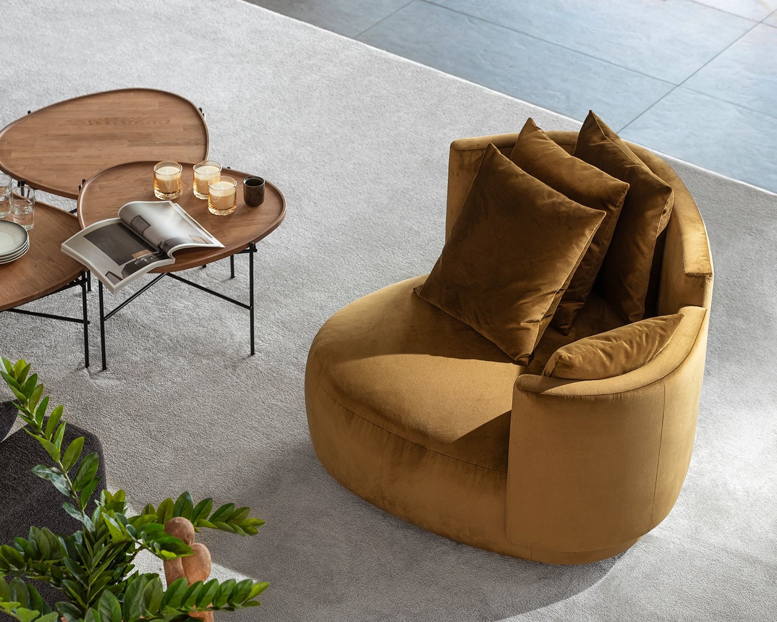 Plectrum-LSB-12154_1