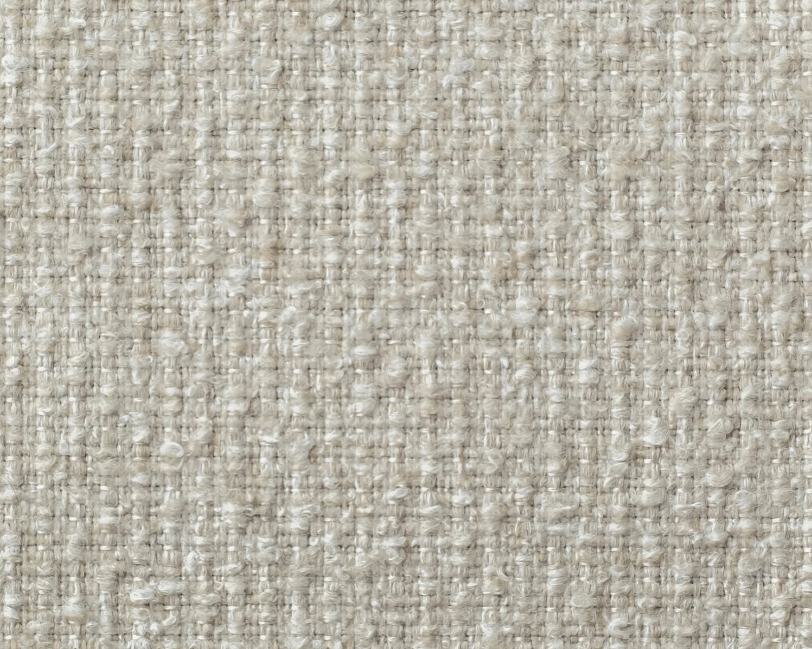 TDS-Choice-1600-1280-Society-Zoom