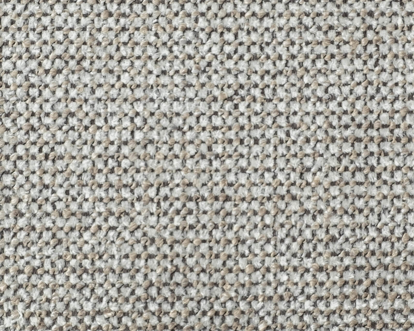 TDS-Choice-1600-1280-Sneak-Zoom