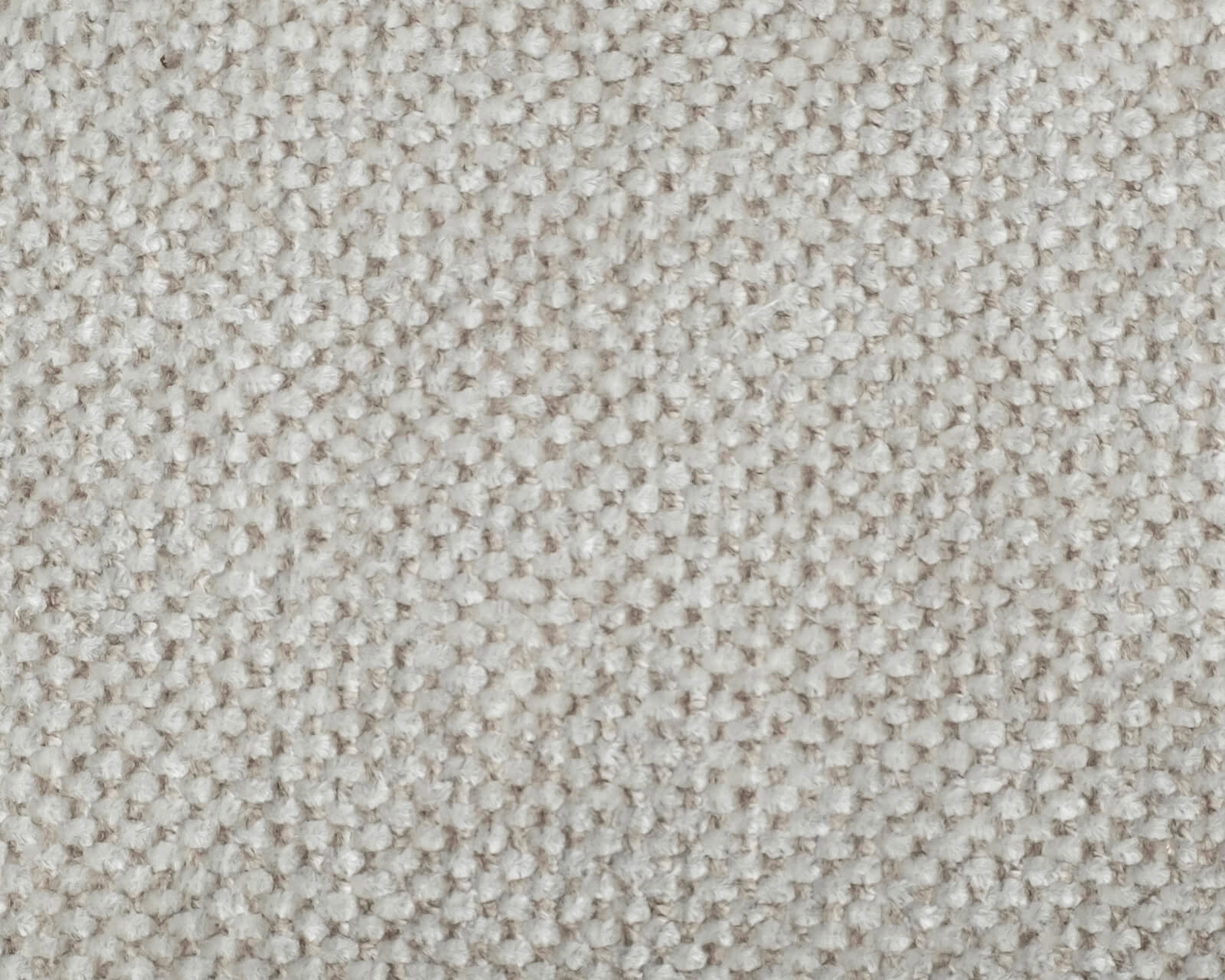 TDS-Choice-1600-1280-Impala-Zoom