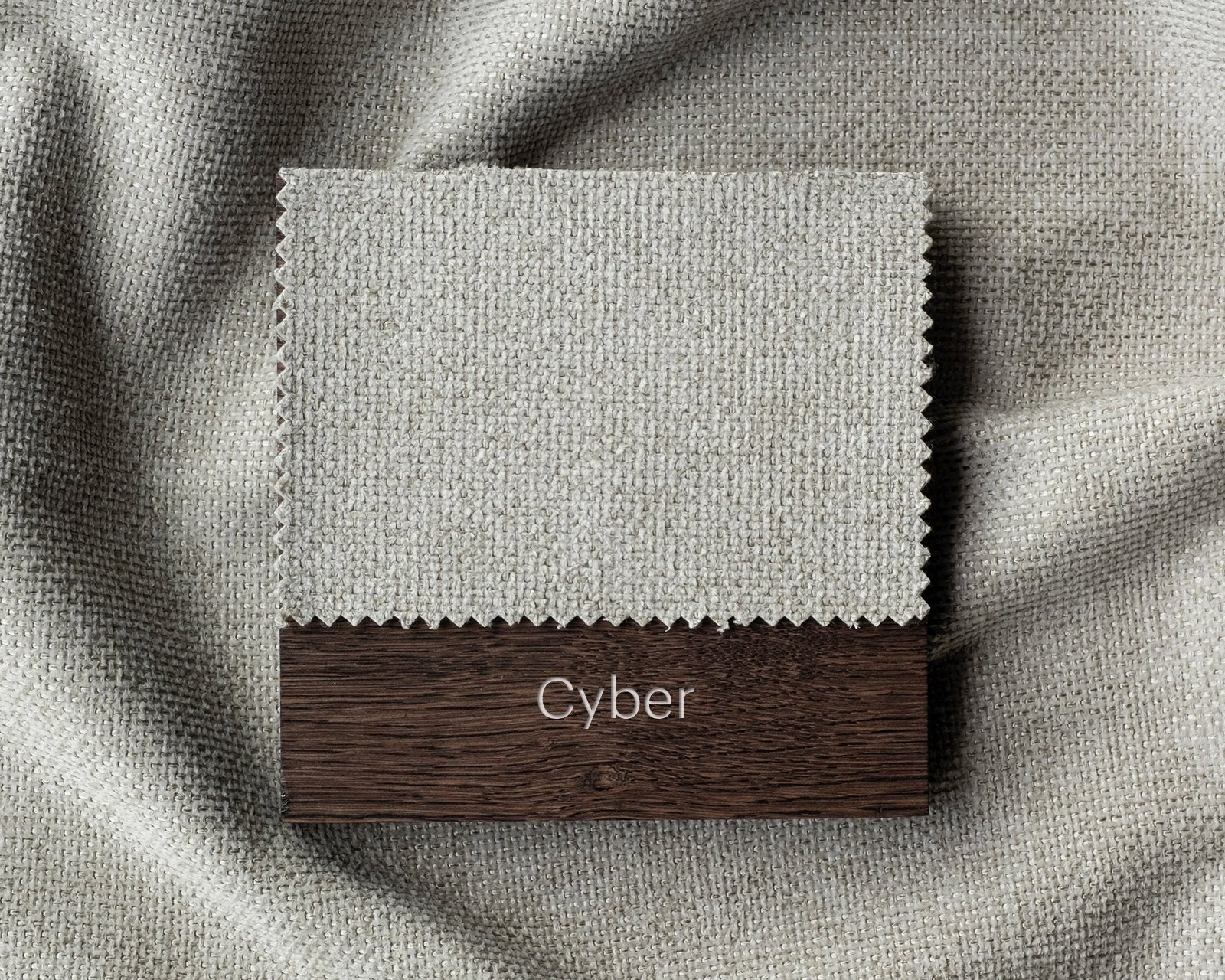 TDS-Choice-1600-1280-Cyber