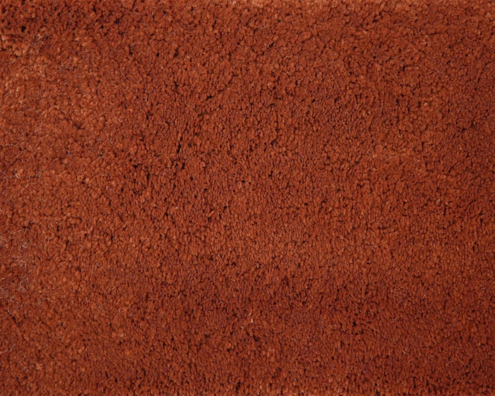 robijn-66-tmp_0_305939