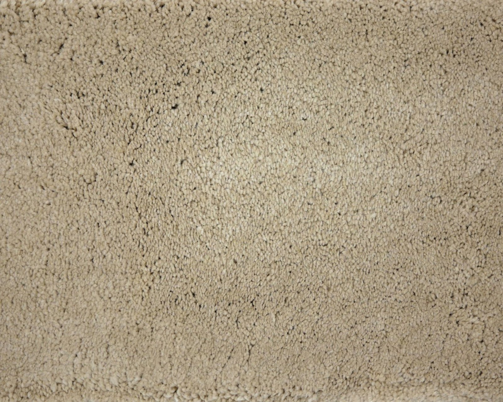 robijn-34-tmp_0_305934