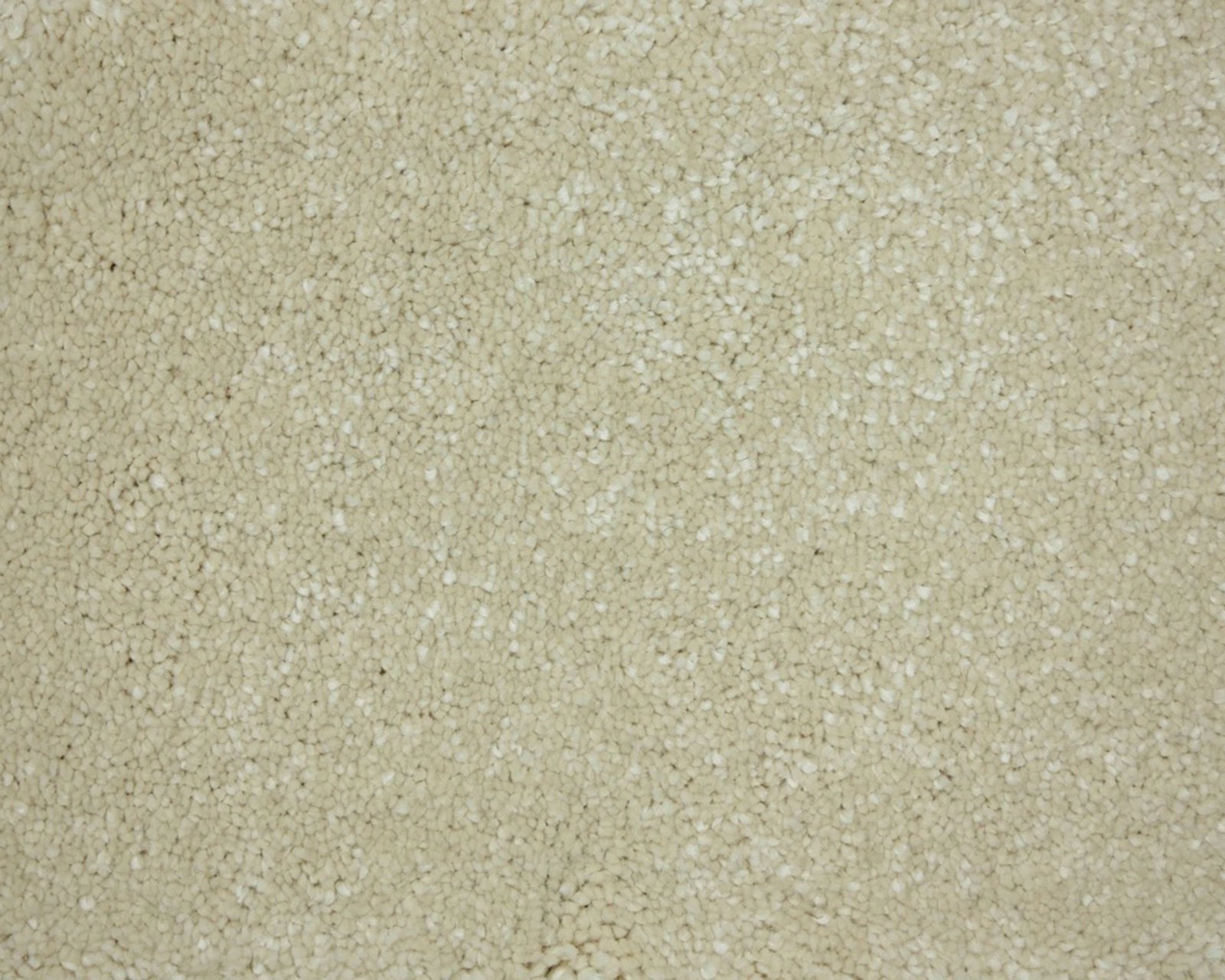 saffier-240-tmp_0_305943