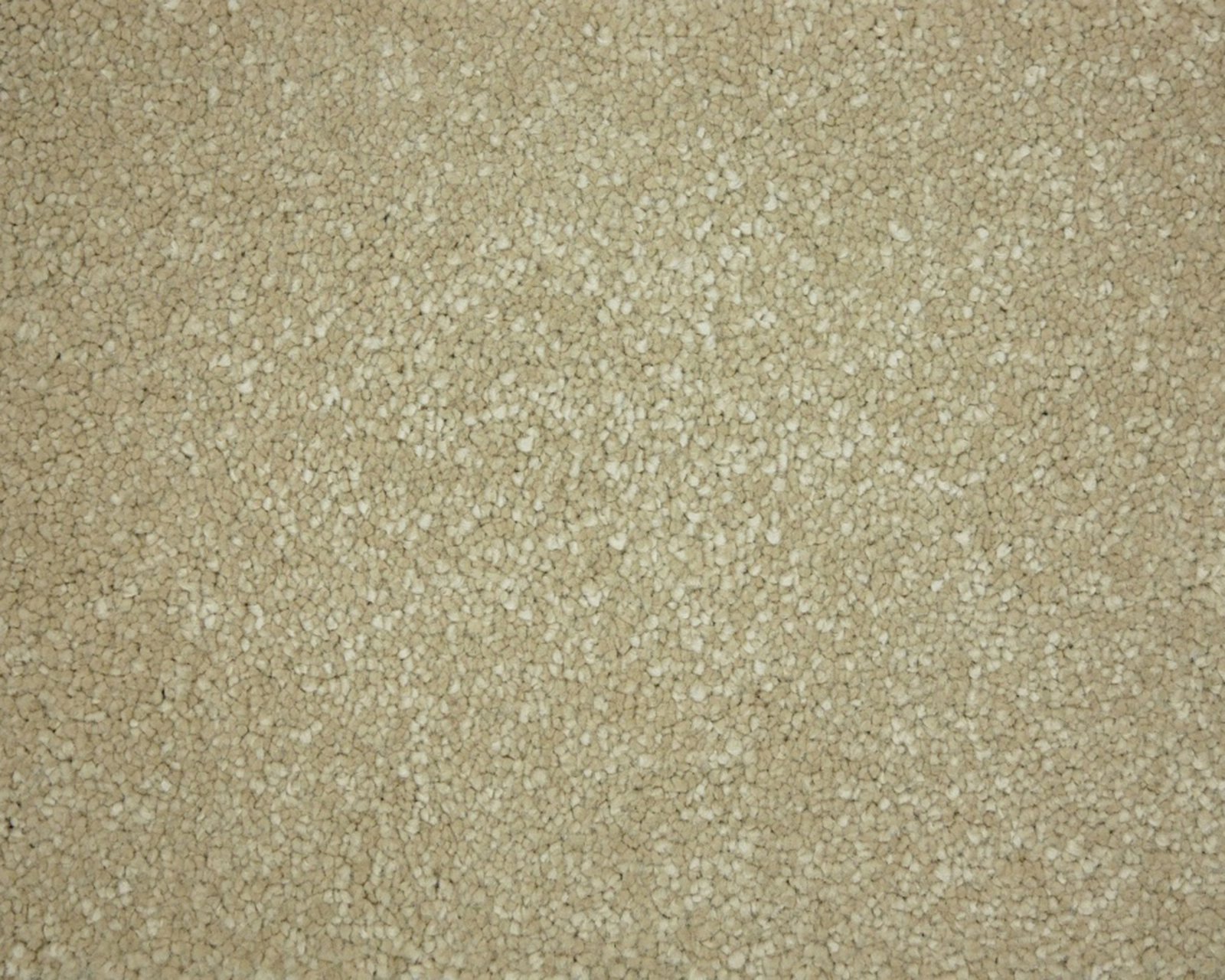 saffier-450-tmp_0_305944