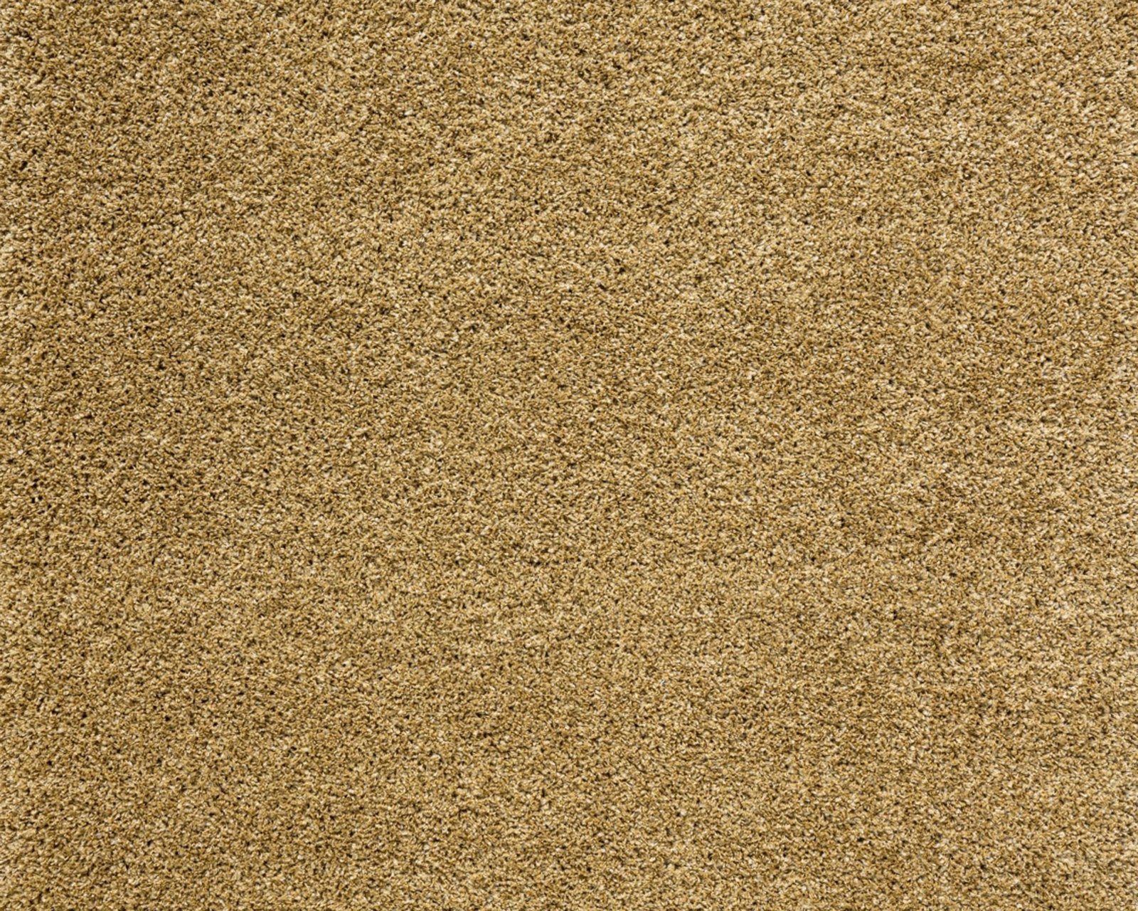 twilight-2244-tmp_0_307658