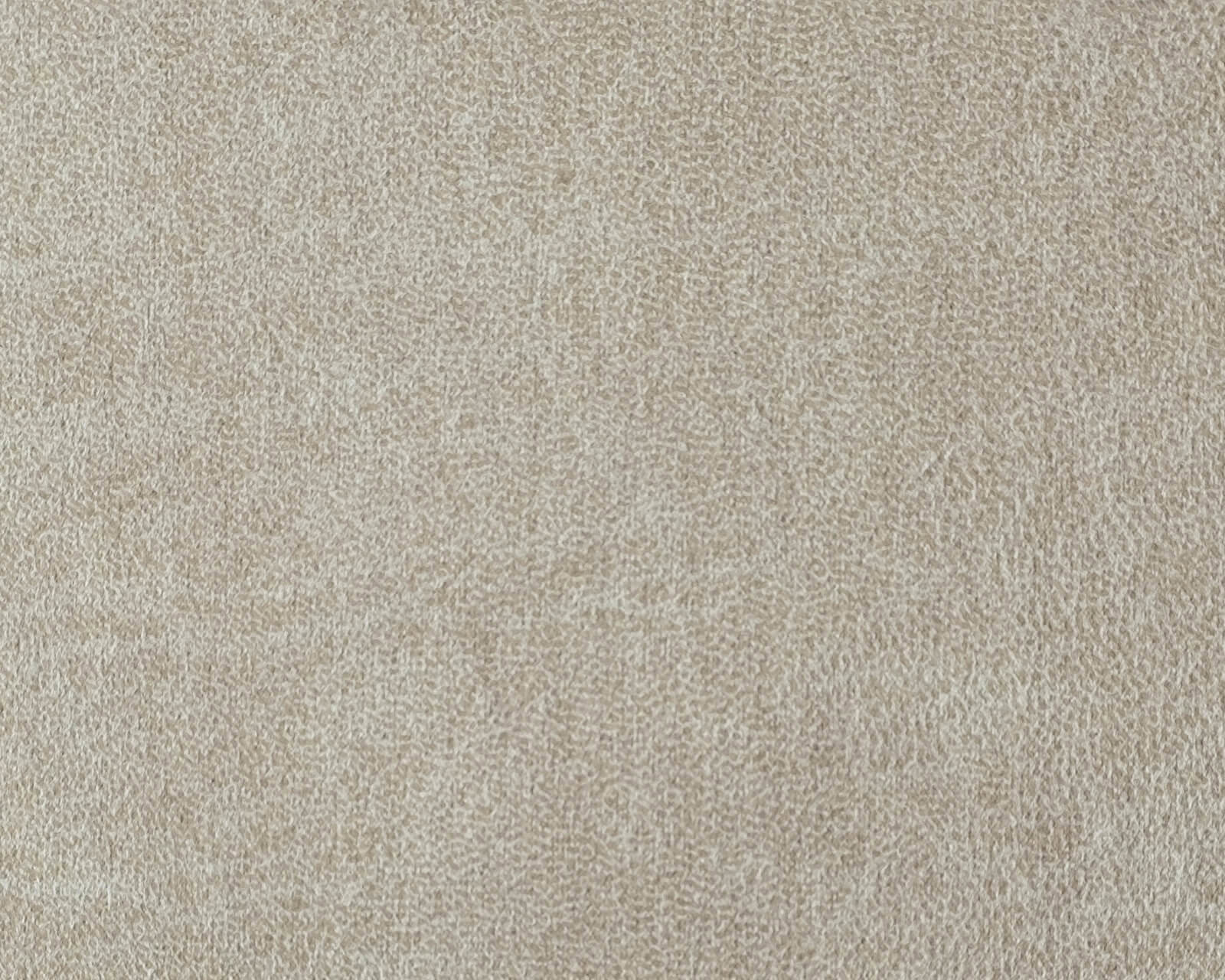 TDS-Choice-1600-1280-ABull-Zoom