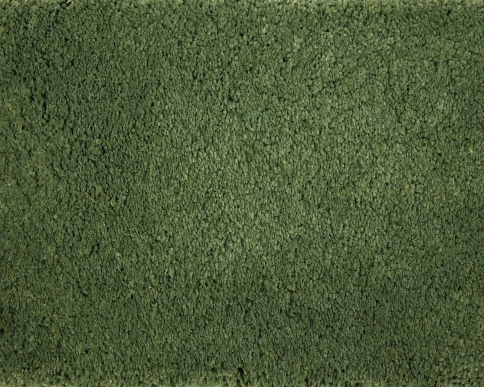 robijn-26-tmp_0_305937