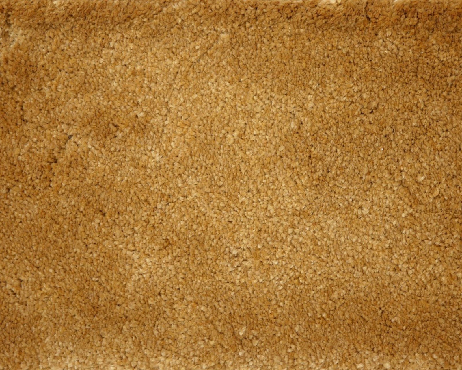 robijn-55-tmp_0_305938