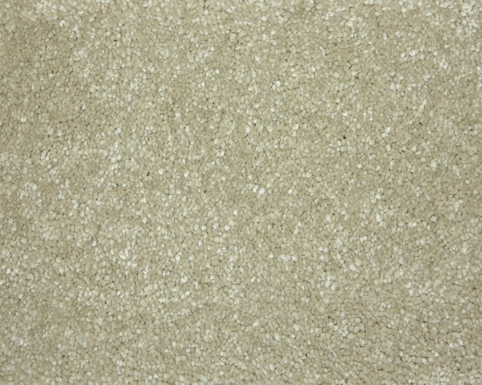 saffier-880-tmp_0_305945