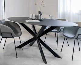 Op deze afbeelding is onze ovale eettafel te zien, genaamd Gap.