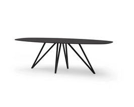 FenixMassief_Deens_Pomm