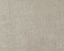 TDS-Choice-1600-1280-ABull-Zoom