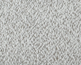 TDS-Choice-1600-1280-Alpine-Zoom