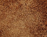 galaxy-145-tmp_1_309054