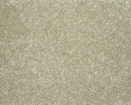 saffier-880-tmp_0_305945