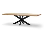 Boomstam_Rechthoek_XX10x4