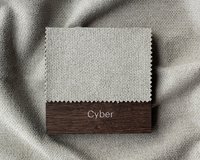 TDS-Choice-1600-1280-Cyber