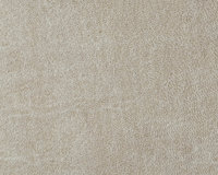 TDS-Choice-1600-1280-ABull-Zoom