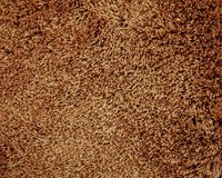 galaxy-145-tmp_1_309054