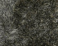 luna-5000-tmp_0_5400539698986