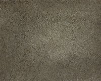 robijn-49-tmp_0_305935