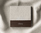 TDS-Choice-Glory