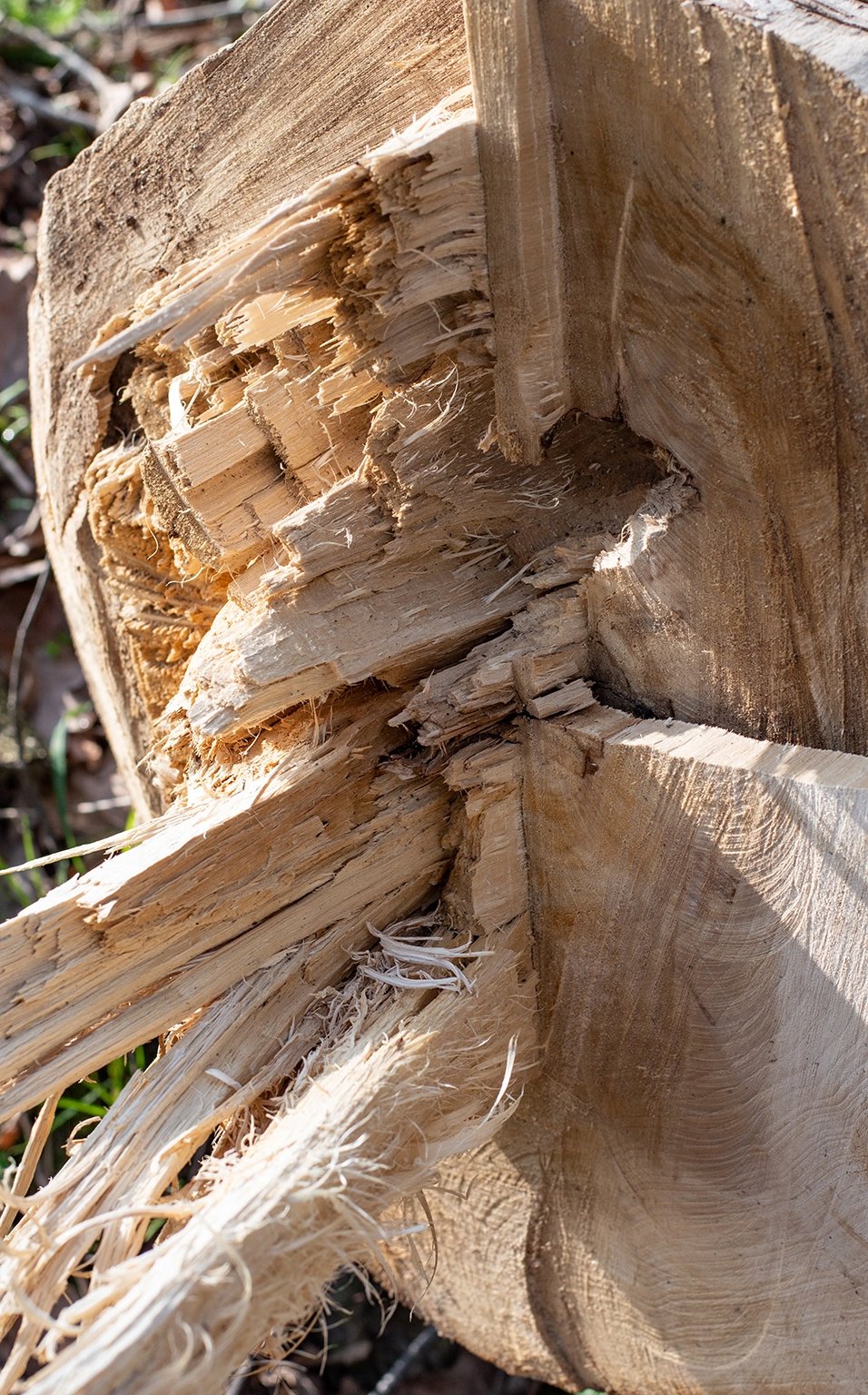 table-du-sud-duurzame-beslissing Is Table du Sud een duurzame beslissing? | Table du Sud