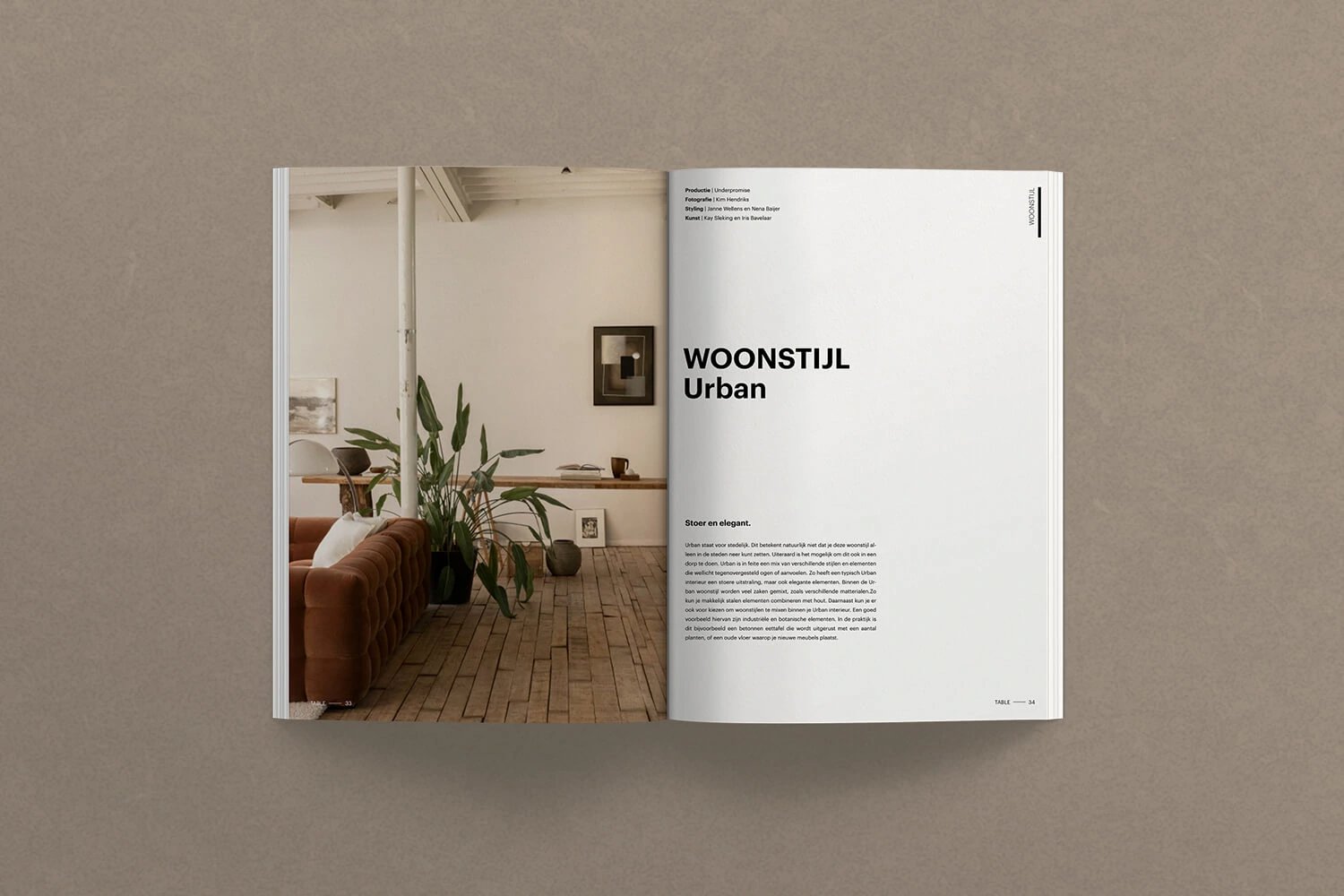 Magazine2