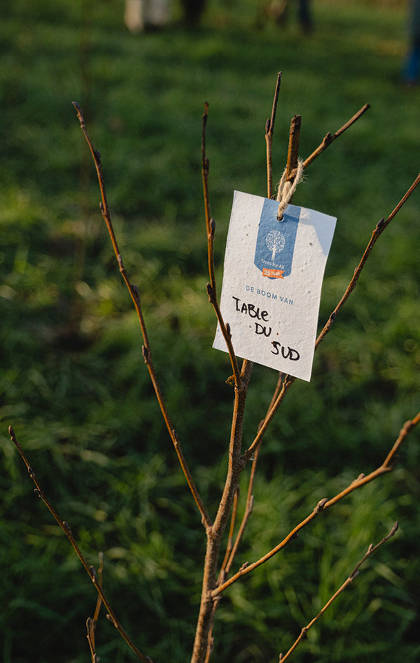 One, two, tree | Table du Sud