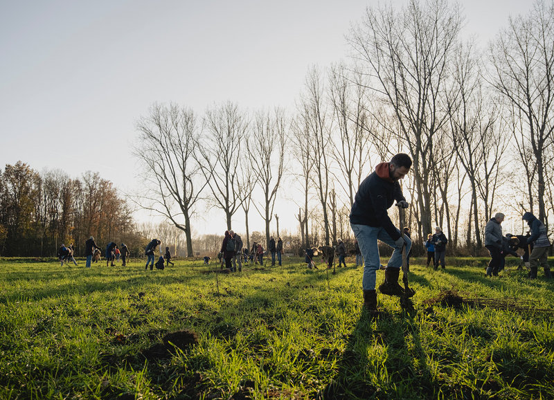 boomplantdag-treesforall-groot-2