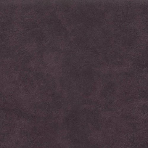 aubergine