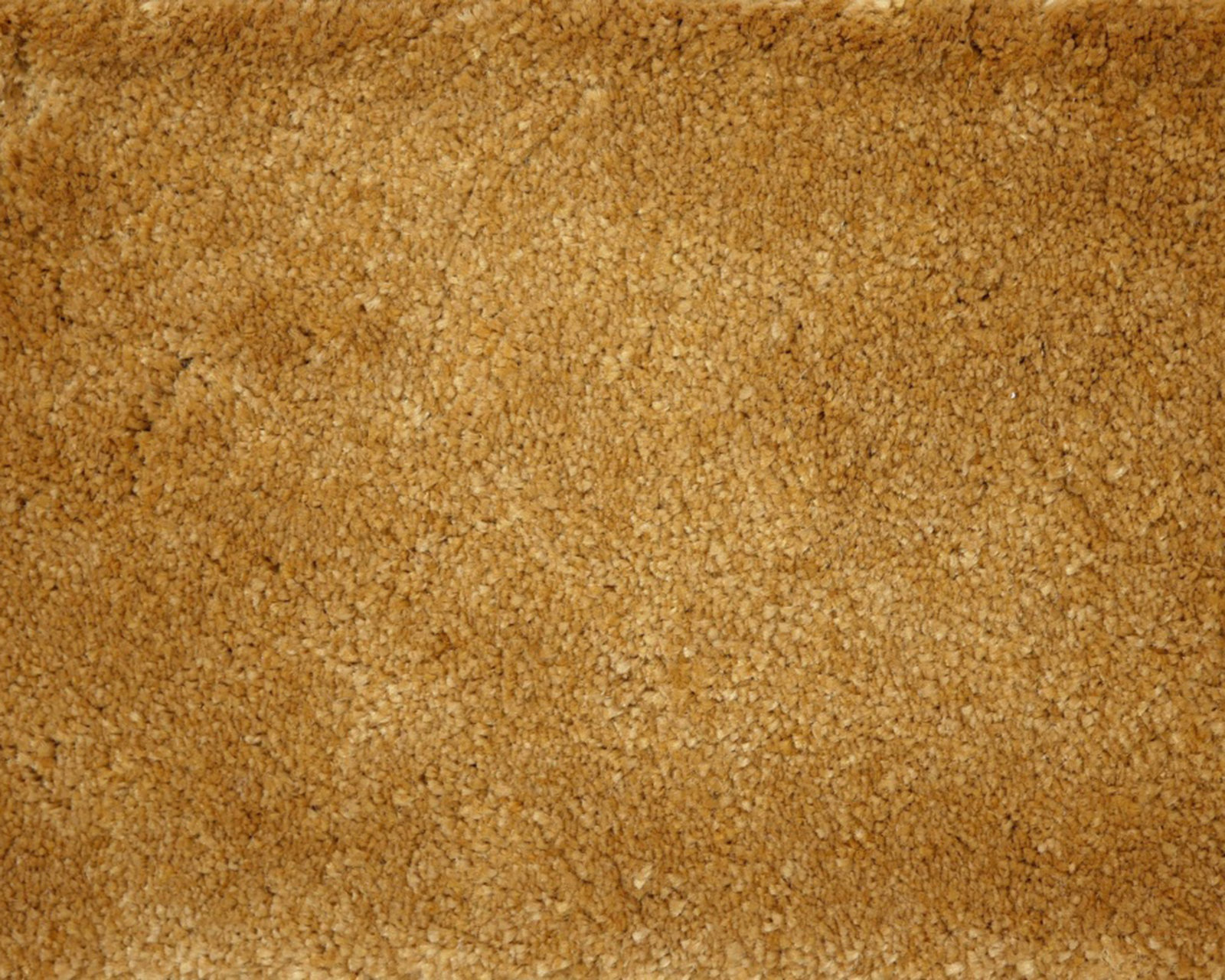 robijn-55-tmp_0_305938