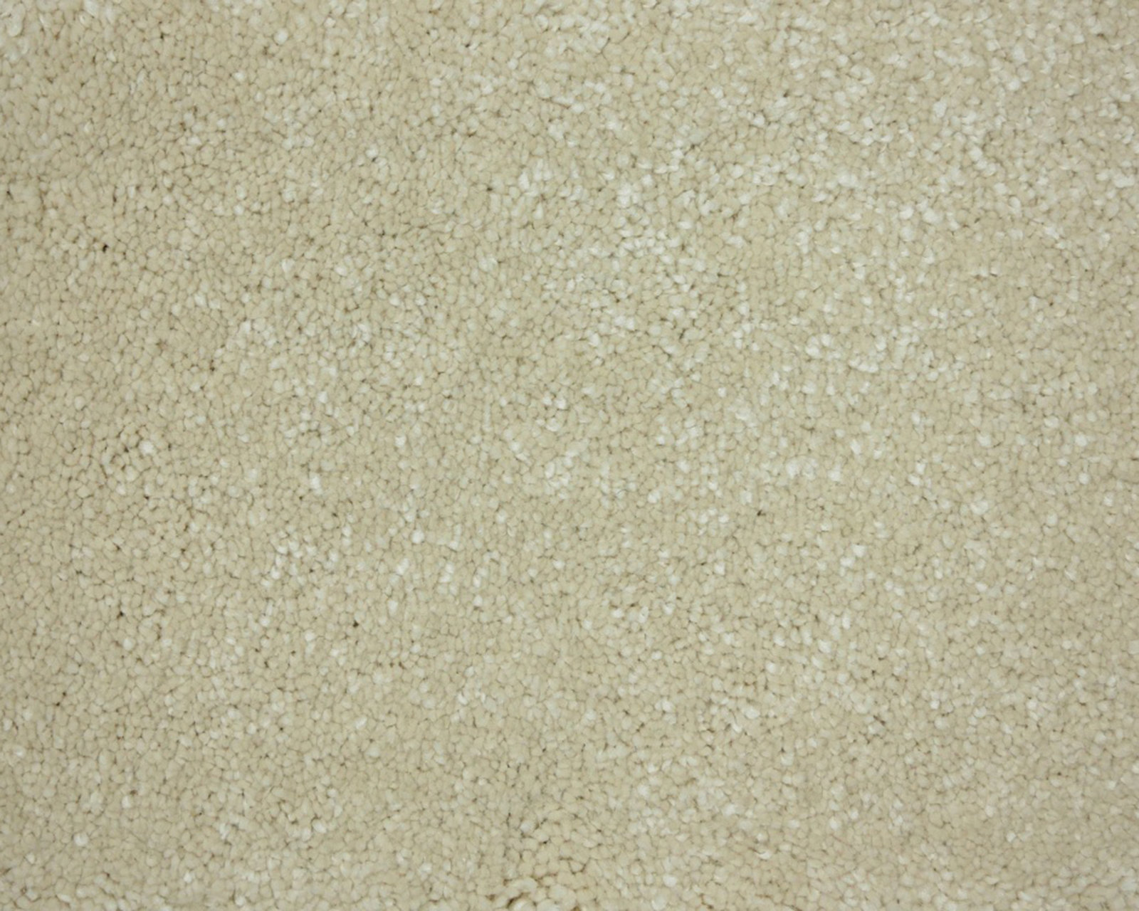 saffier-240-tmp_0_305943