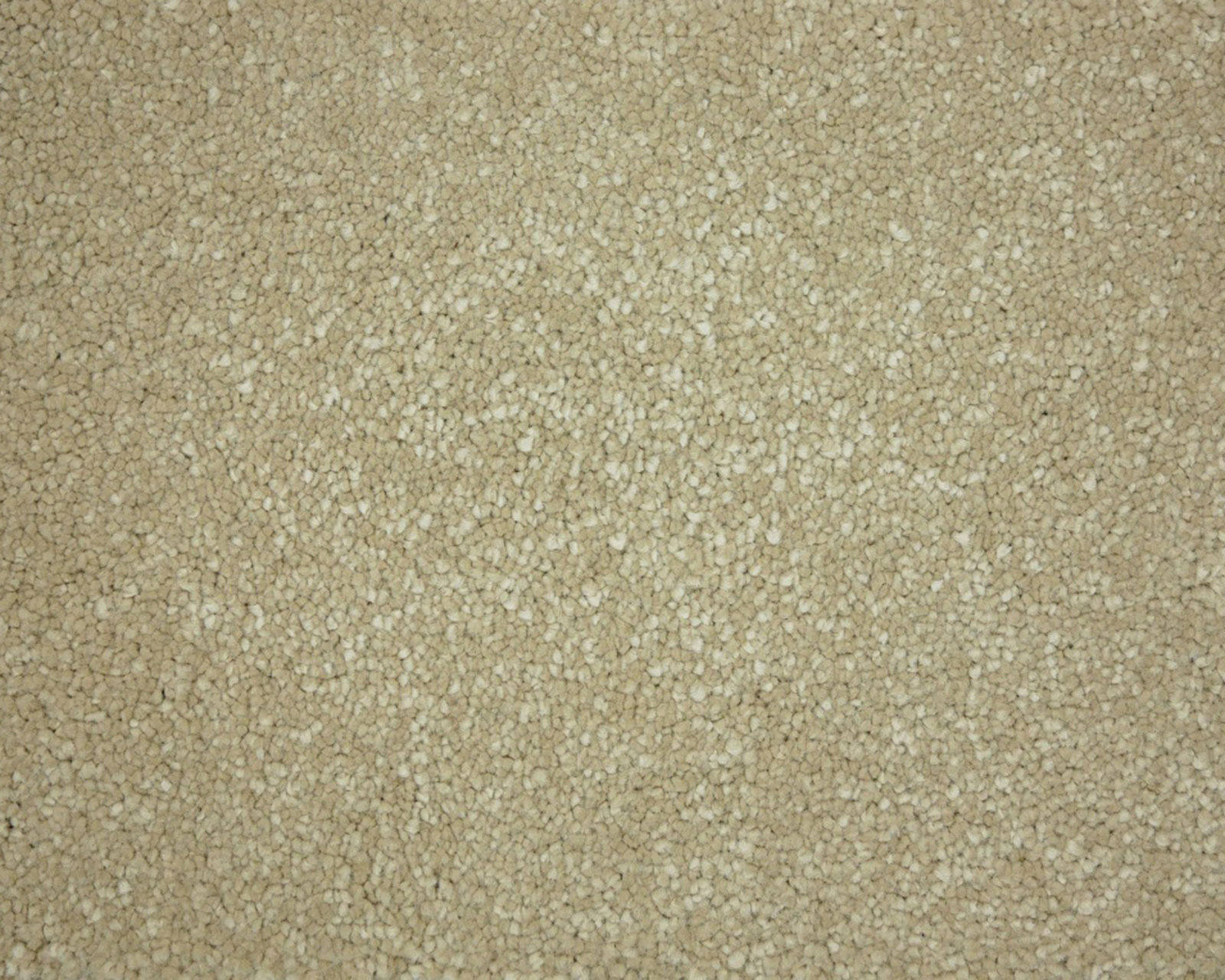 saffier-450-tmp_0_305944