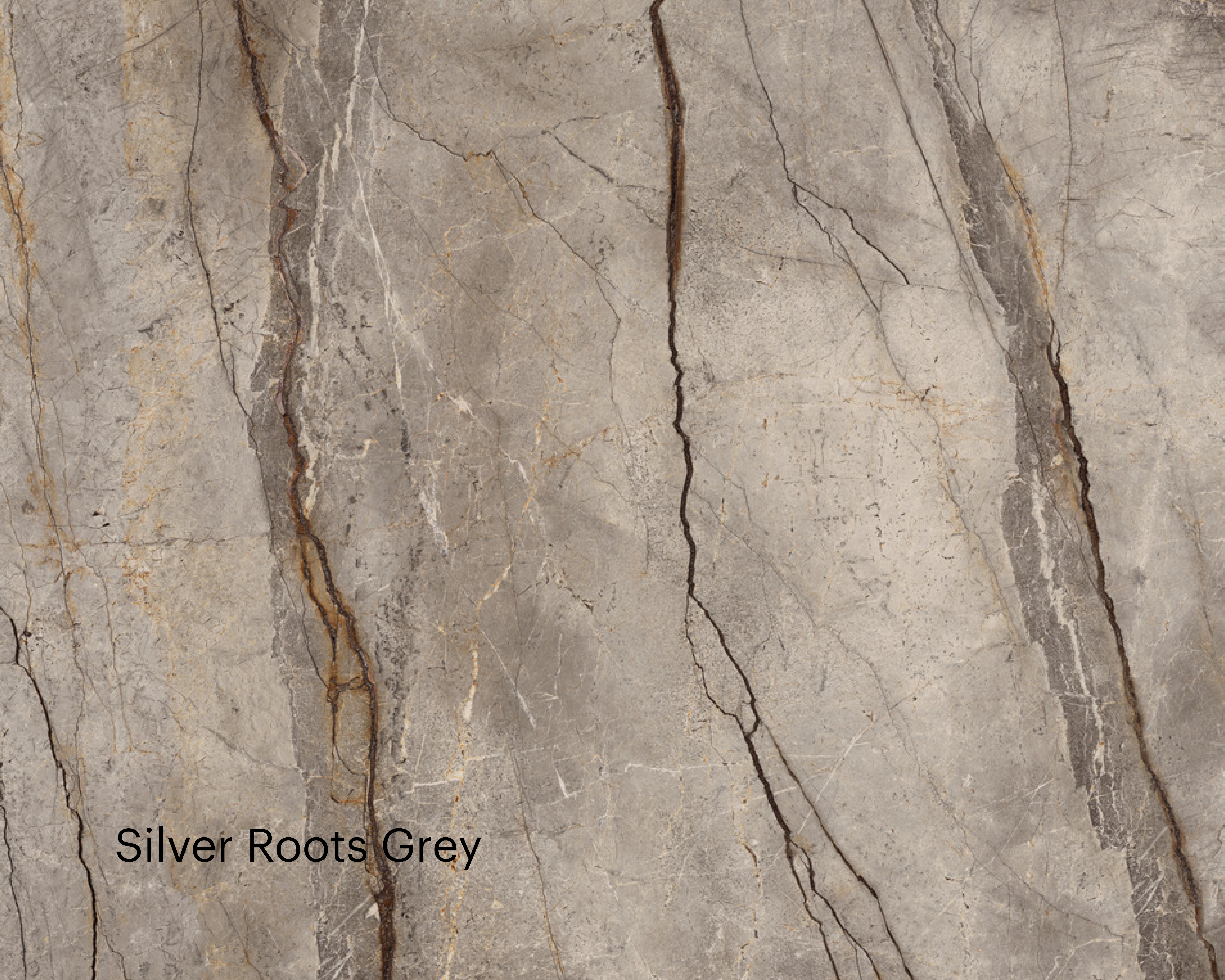 Silver Roots Grey 1600x1280