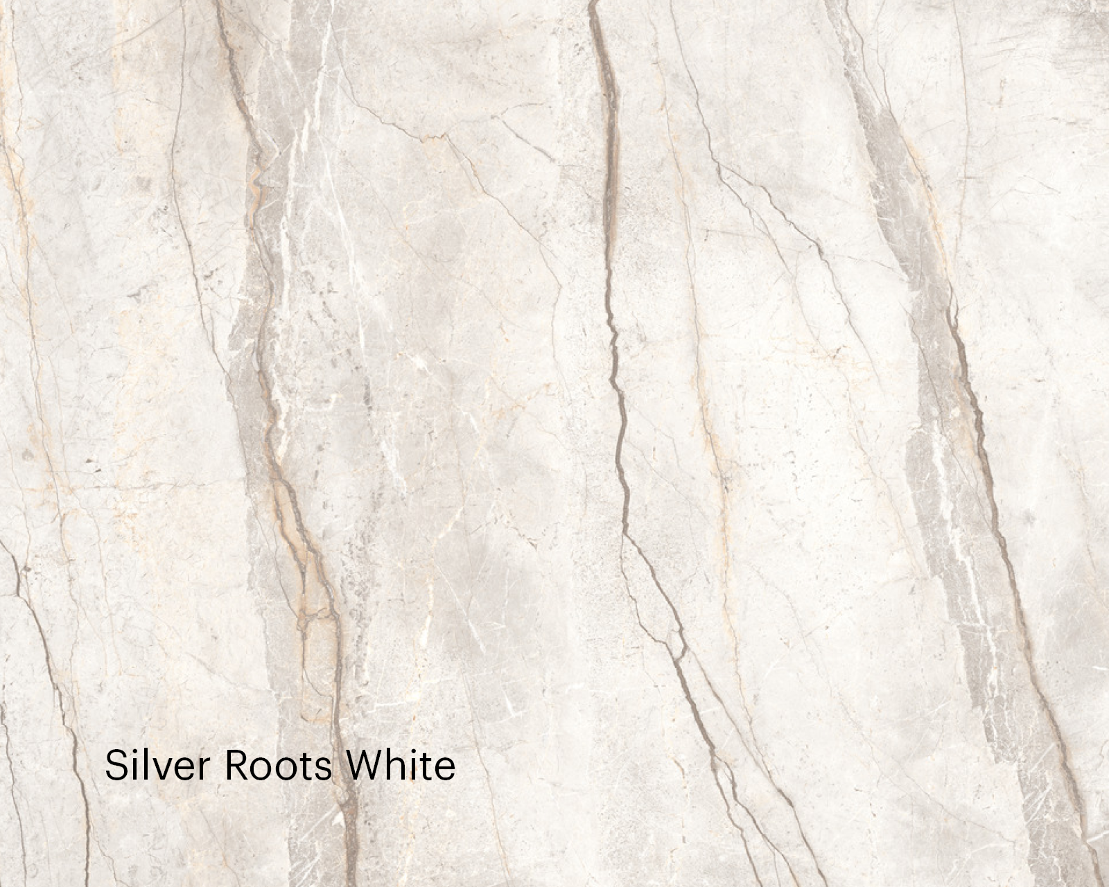 Silver Roots White 1600x1280