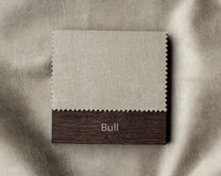 TDSChoice-Bull-1600x1280