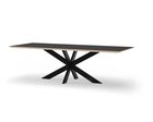 Berken_Rechthoek_XX10x4